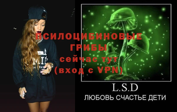 хмурый Арсеньев