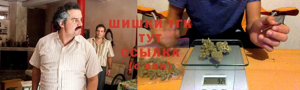 гидра Армянск