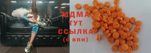 хмурый Арсеньев
