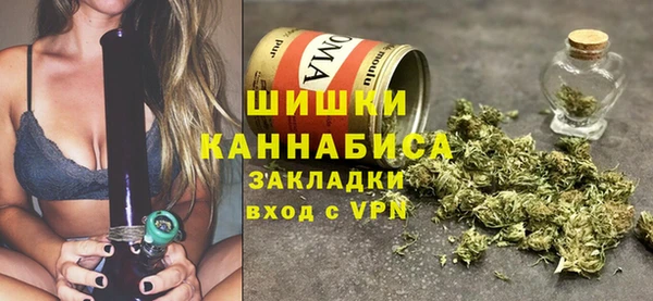хмурый Арсеньев