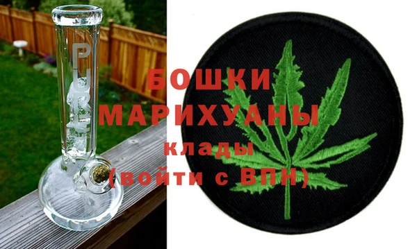 хмурый Арсеньев