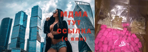 хмурый Арсеньев