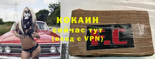 гидра Армянск